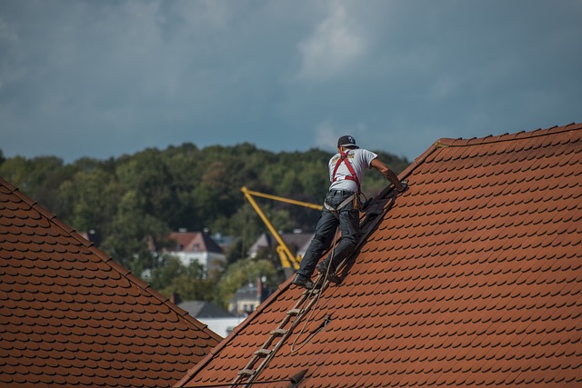 roofer-1